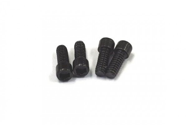 REVE D M2 x 5 CAP SCREW (RC-001)