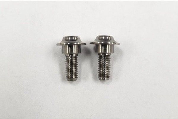 REVE D SPM Titanium Servo Screw (2 pieces) (RT-001A)